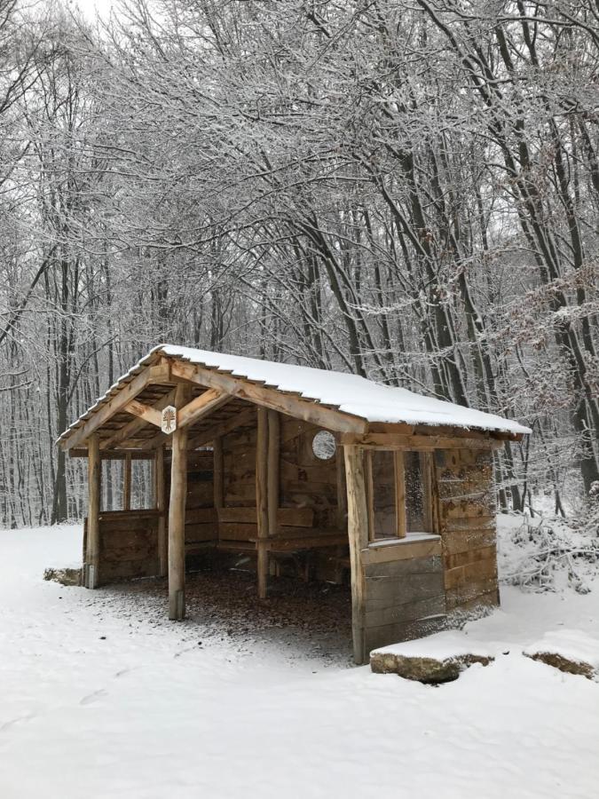 Ferienwohnung Auszeit Am Kurpark Bad Berka - Balkon - Ruhige Lage- Gratis Parkplatz & Wlan Extérieur photo