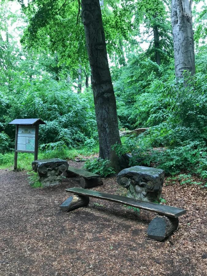 Ferienwohnung Auszeit Am Kurpark Bad Berka - Balkon - Ruhige Lage- Gratis Parkplatz & Wlan Extérieur photo